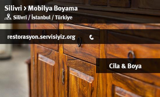 Silivri Mobilya Boyama