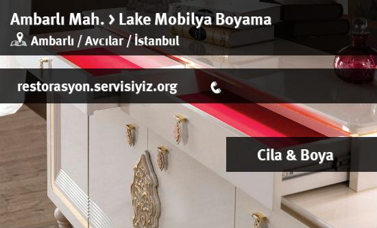 Ambarlı Lake Mobilya Boyama İletişim