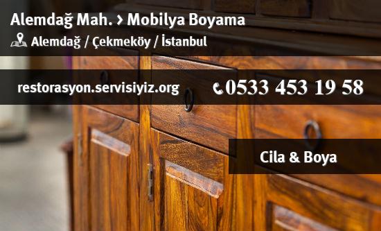 Alemdağ Mobilya Boyama İletişim