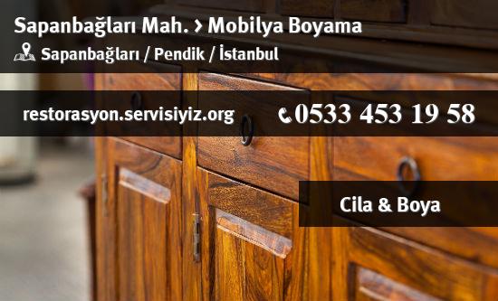 Sapanbağları Mobilya Boyama İletişim