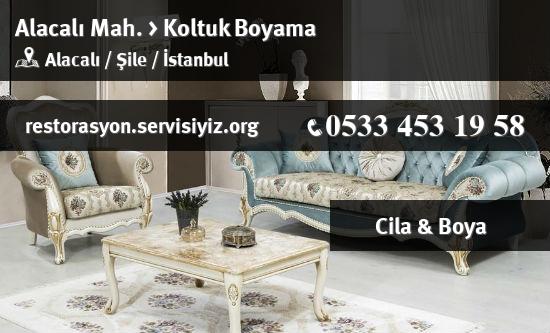 Alacalı Koltuk Boyama İletişim