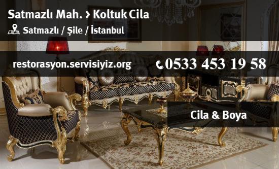 Satmazlı Koltuk Cila İletişim