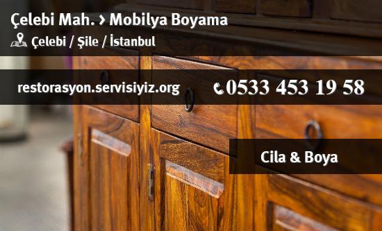 Çelebi Mobilya Boyama İletişim