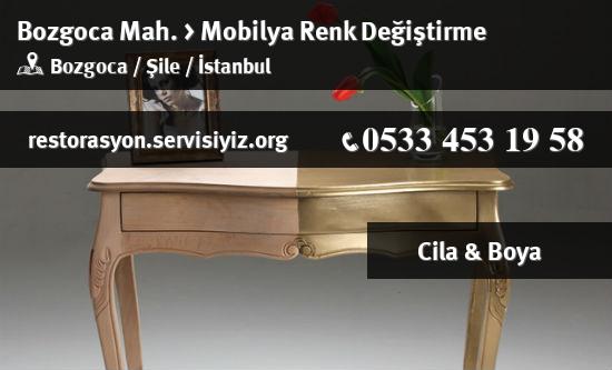 Bozgoca Mobilya Renk Değiştirme İletişim