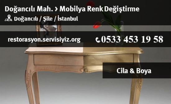 Doğancılı Mobilya Renk Değiştirme İletişim