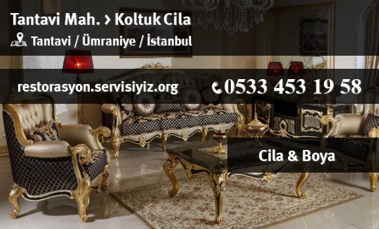 Tantavi Koltuk Cila İletişim