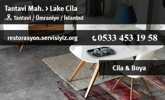Tantavi Lake Cila İletişim
