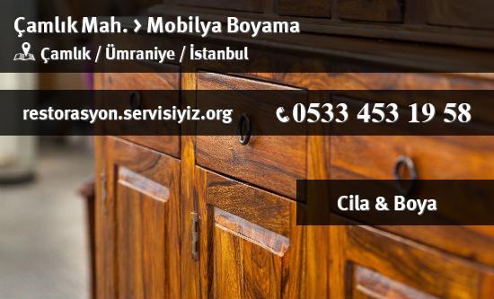 Çamlık Mobilya Boyama İletişim