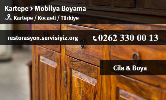 Kartepe Mobilya Boyama
