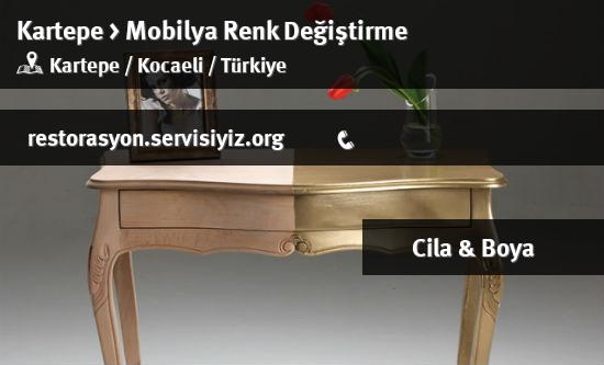 Kartepe Mobilya Renk Değiştirme