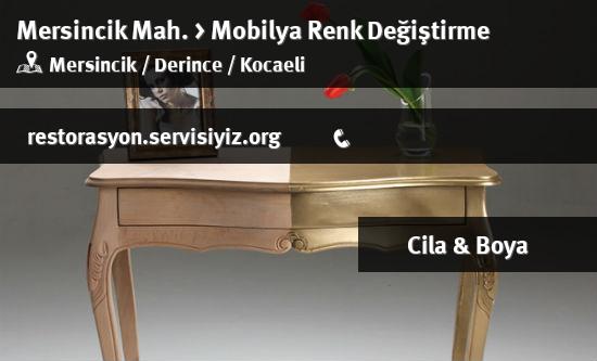 Mersincik Mobilya Renk Değiştirme İletişim