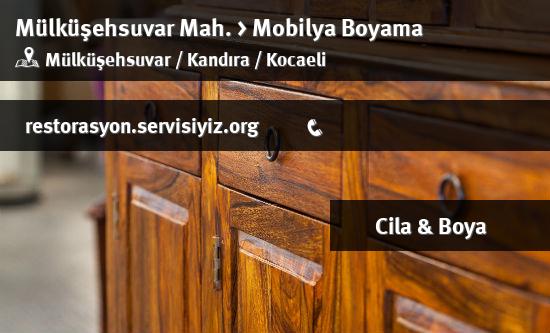 Mülküşehsuvar Mobilya Boyama İletişim